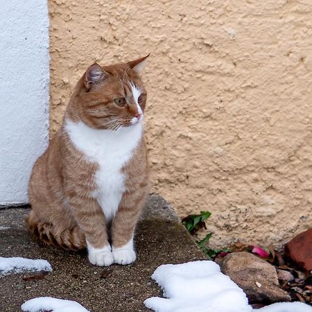 ホテル Slokenbekas Muiza Milzkalne エクステリア 写真